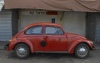 Beetle