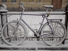 Bicycle - Helsinki, 2008