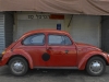Beetle in the Carmel market - Tel Aviv, 2008