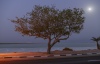 Promenade