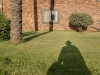 Shadows