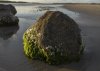 Rock