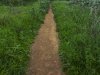 Path
