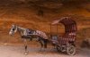 Horse and Carriage