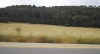 Yellowline and field