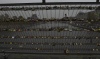 Love Locks