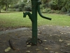 Water pump - Parce sur Sarthe, France, 2011