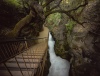 Stream