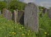 Grunya's Gravestone