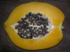 Papaya