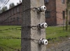 Fence
