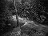 Stream - Banias, 2013