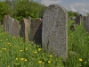 Grunya's Gravestones - Keidan, Lithuania, 2013