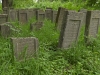 Cemetery - Lezensk, 2013