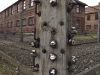 Fence - Auschwitz, 2013