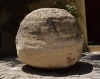 Bulbous
