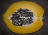 Papaya - Herzlia, 2014
