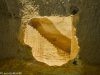 Caves