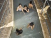 Bathers