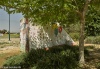 Shelter