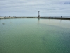 Montrose Point