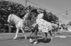 Parade