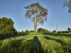 Walk - Kenneth Hahn Park, April 2024