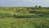 Naama Farm - Negev, February 2024