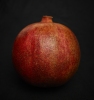 Pomegranate - Herzlia, January 2024