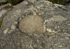 Rock