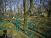 Fence