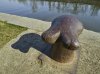 Bollard