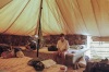 Fanny