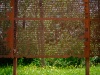 Mass Grave