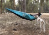 Yaniv and Sol