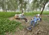 Afek Park