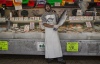 Fishmonger