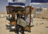 Accordionist