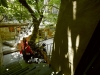 Fran and fig tree -Tzfat, 2012