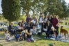 Group