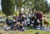 Group
