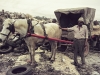 Man and his horse - Haifa, 1978