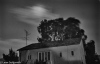 Moonlit house - Haifa, 1973