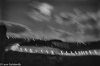 Moonlit sky - Haifa, 1973