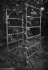 Jungle gym - Linksfield, Johannesburg 1992