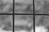 Window - Linksfield, 1969 Window - Linksfield, 1969