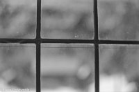 Window - Linksfield, 1969