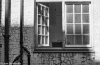 Window - Johannesburg, 1971 Window - Johannesburg, 1971