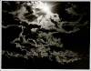 Clouds - Alfred Stieglitz, 1928 Clouds - Alfred Stieglitz, 1928