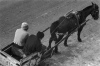 Horse and cart - Montevideo, 1976